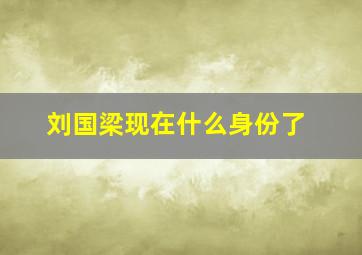 刘国梁现在什么身份了