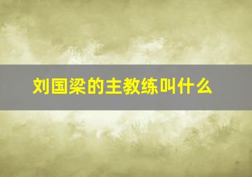 刘国梁的主教练叫什么