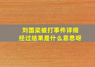 刘国梁被打事件详细经过结果是什么意思呀