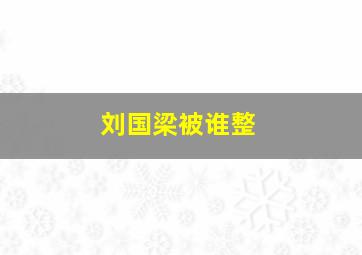 刘国梁被谁整