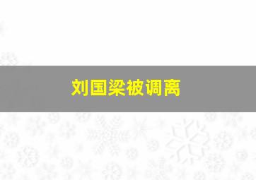 刘国梁被调离