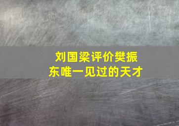 刘国梁评价樊振东唯一见过的天才