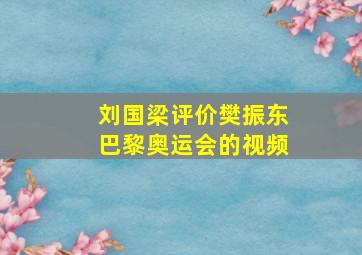 刘国梁评价樊振东巴黎奥运会的视频