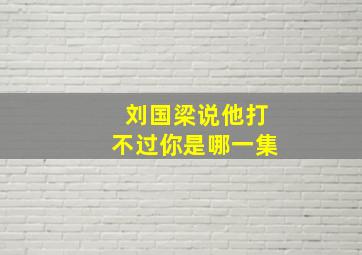 刘国梁说他打不过你是哪一集