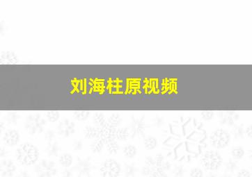 刘海柱原视频