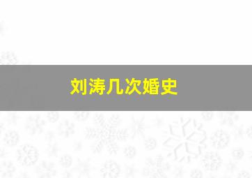 刘涛几次婚史