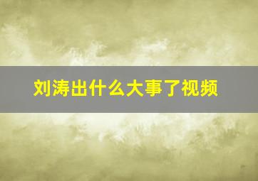 刘涛出什么大事了视频