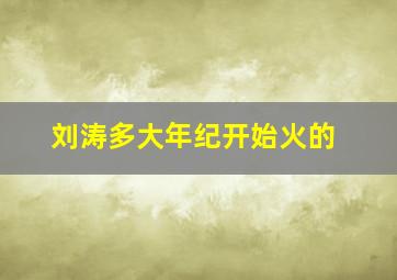 刘涛多大年纪开始火的