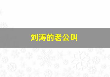 刘涛的老公叫