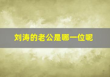 刘涛的老公是哪一位呢