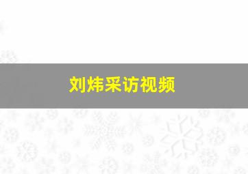 刘炜采访视频