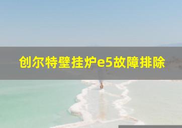 创尔特壁挂炉e5故障排除