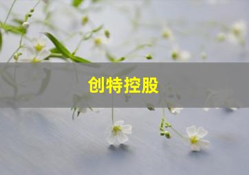 创特控股