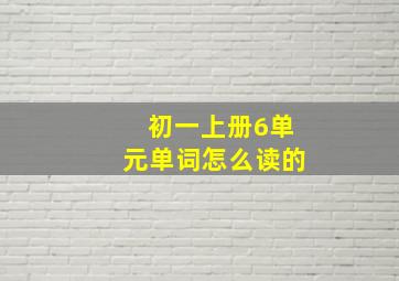 初一上册6单元单词怎么读的