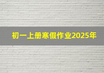 初一上册寒假作业2025年