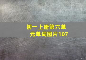 初一上册第六单元单词图片107