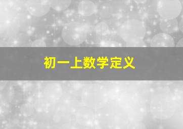 初一上数学定义