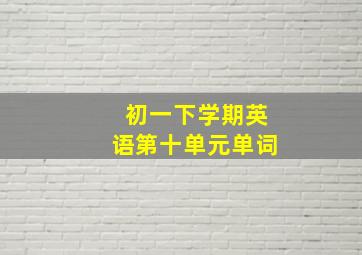 初一下学期英语第十单元单词