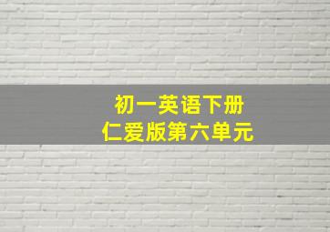 初一英语下册仁爱版第六单元