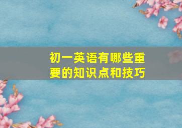 初一英语有哪些重要的知识点和技巧