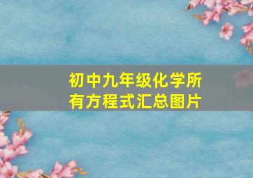 初中九年级化学所有方程式汇总图片