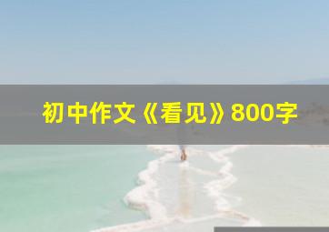 初中作文《看见》800字