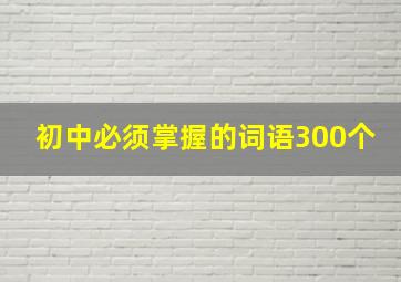 初中必须掌握的词语300个