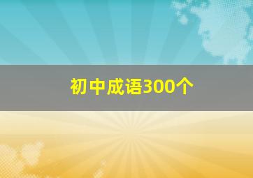 初中成语300个