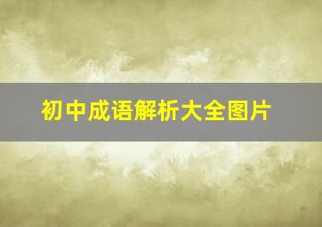 初中成语解析大全图片