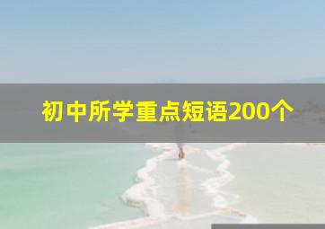 初中所学重点短语200个