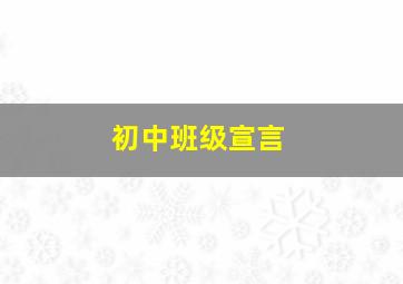 初中班级宣言