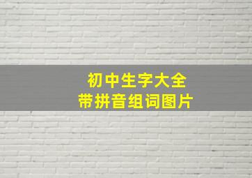 初中生字大全带拼音组词图片