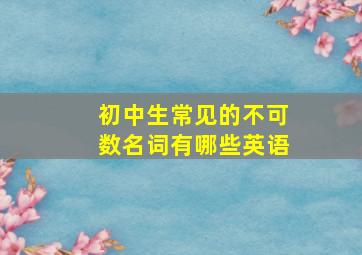 初中生常见的不可数名词有哪些英语