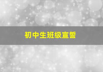 初中生班级宣誓