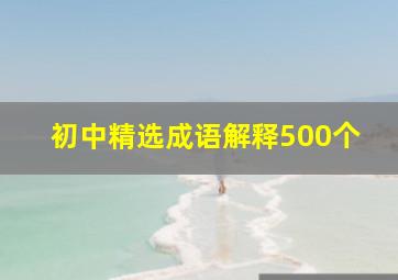 初中精选成语解释500个