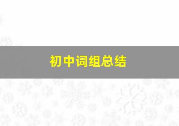 初中词组总结