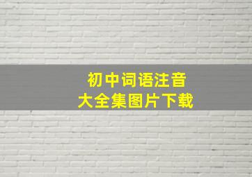 初中词语注音大全集图片下载