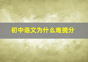 初中语文为什么难提分