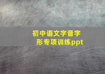 初中语文字音字形专项训练ppt