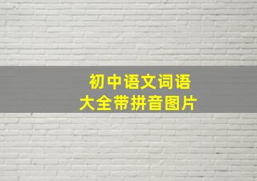 初中语文词语大全带拼音图片