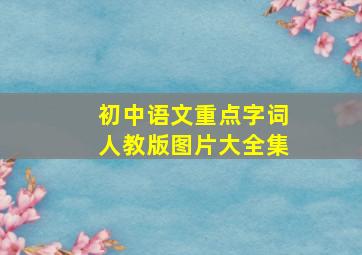 初中语文重点字词人教版图片大全集