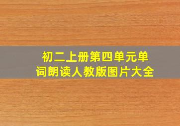 初二上册第四单元单词朗读人教版图片大全