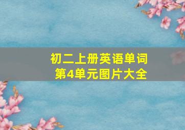 初二上册英语单词第4单元图片大全