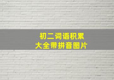 初二词语积累大全带拼音图片