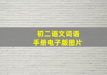 初二语文词语手册电子版图片