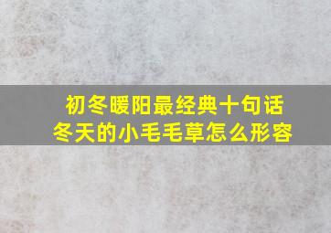 初冬暖阳最经典十句话冬天的小毛毛草怎么形容