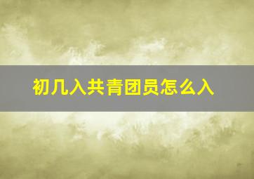 初几入共青团员怎么入