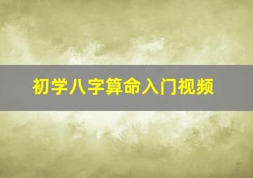 初学八字算命入门视频