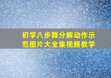 初学八步舞分解动作示范图片大全集视频教学