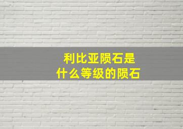 利比亚陨石是什么等级的陨石